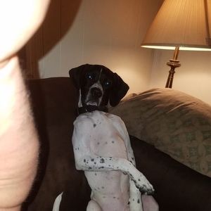 Meet your Posher, Timothy